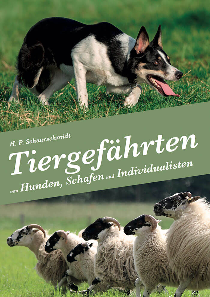Buch: Tiergeflüster | Border Collie, Scottish Blackface Schafe und andere Individualisten | bei Amazon erhältlich