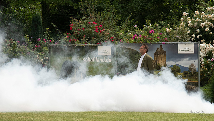 Hütehundvorführung Show - Nebel von Schottland