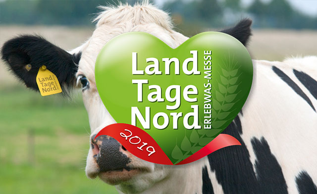 Schaf-Land auf LandTage Nord